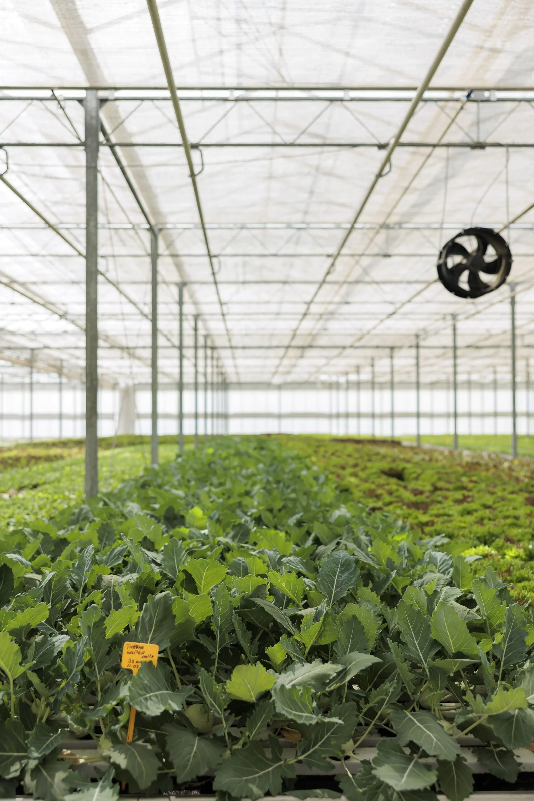 Exploring Innovative Solutions