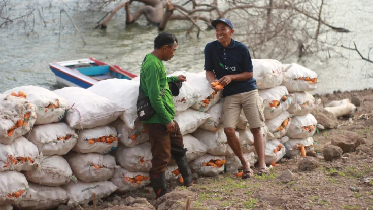 Farmer Livelihood Enhancement