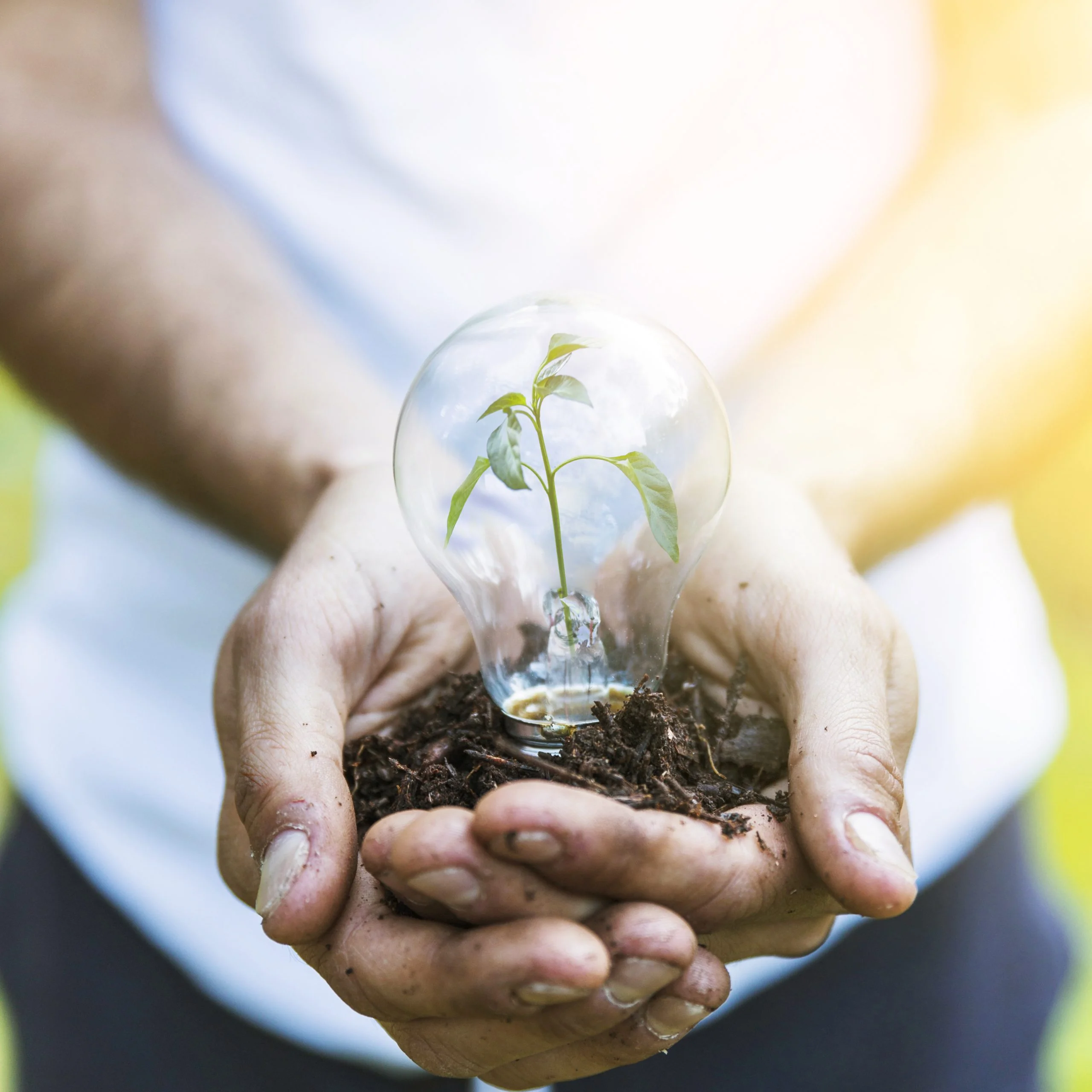 Innovative Sustainable Solutions