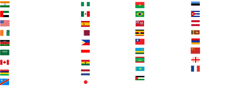 Country flags of participating students