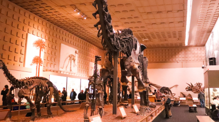 Peabody Museum